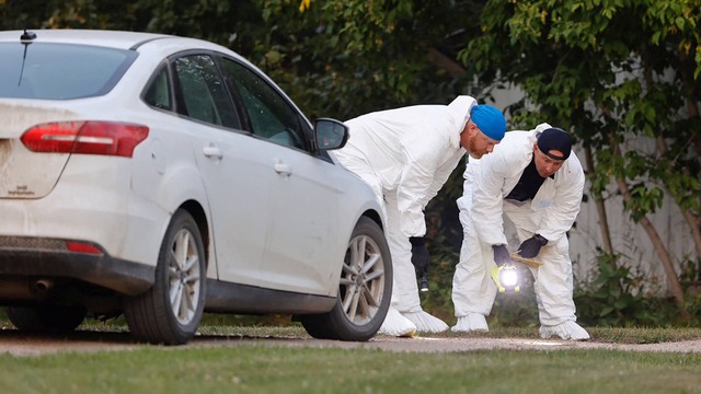 Tim forensik kepolisian menyelidiki TKP setelah beberapa orang tewas dan terluka dalam penusukan di Weldon, Saskatchewan, Kanada (4/9/2022). Foto: David Stobbe/Reuters