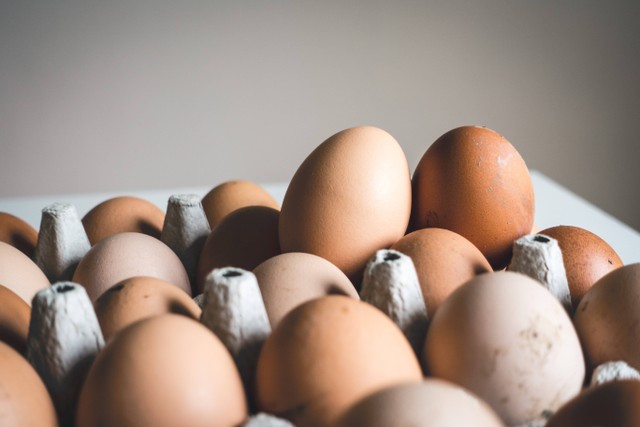 Ilustrasi perbedaan telur Omega dan telur biasa. Foto: Jakub Kapusnak/unsplash 
