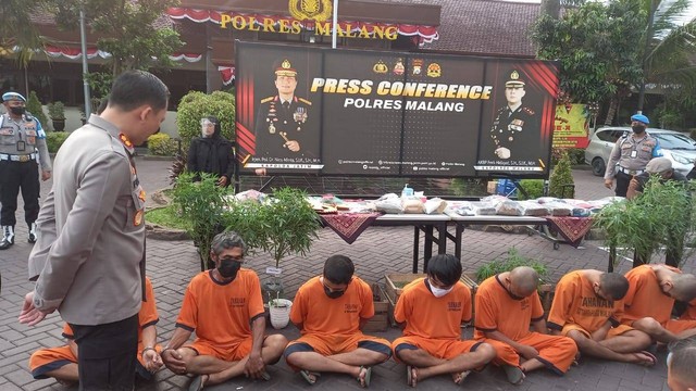 Kapolres Malang, AKBP Ferli Hidayat mengajukan pertanyaan pada tersangka penanam ganja (mengenakan baju tahanan, dua dari kiri). Foto: Aisyah Nawangsari