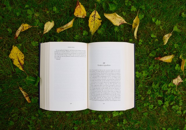Ilustrasi Beberapa Arti Kata Tunggal Dalam Bahasa Indonesia. (Foto: Annelies Geneyn | Unsplash.com)