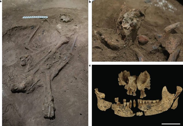 Lokasi makam individu fosil Liang Tebo, Kalimantan Timur. Situs pemakaman ditemukan secara tidak sengaja ketika ilmuwan mencari lukisan gua purba. Foto: Tim Maloney, dkk, Nature (2022)
