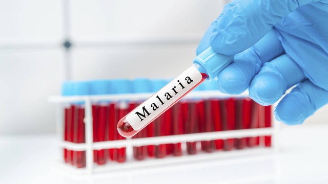 Diperlukan lebih dari satu abad untuk mengembangkan vaksin yang efektif melawan parasit malaria