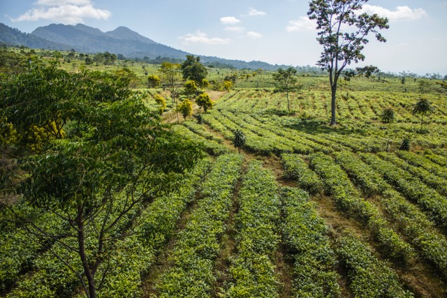 Ciater Subang/ camping ground di Subang yang asyik, Foto oleh Levi Ari Pronk di Unsplash