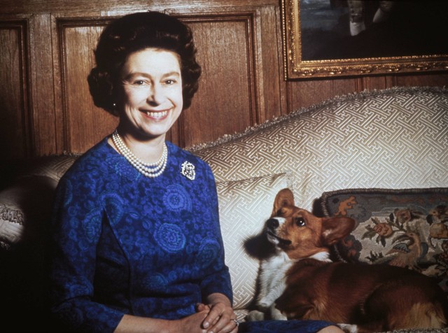 Ratu Elizabeth II dengan seekor anjing corgi, pada 1970. Foto: Keystione/Arsip Hulton/Getty Images