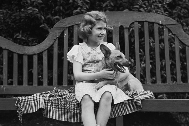 Putri Kerajaan Elizabeth (Ratu Elizabeth II) dengan anjing Pembroke Welsh Corgi duduk di bangku di rumahnya di 145 Piccadilly, London, Inggris, pada Juli 1936. Foto: Lisa Sheridan/Studio Lisa/Arsip Hulton/Getty Images