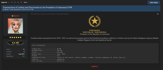 Pengguna Bjorka, yang mengunggah data Indihome, PLN, dan kartu SIM, mengunggah data berisi surat Presiden dan BIN yang dilabel rahasia. Foto: Screenshot