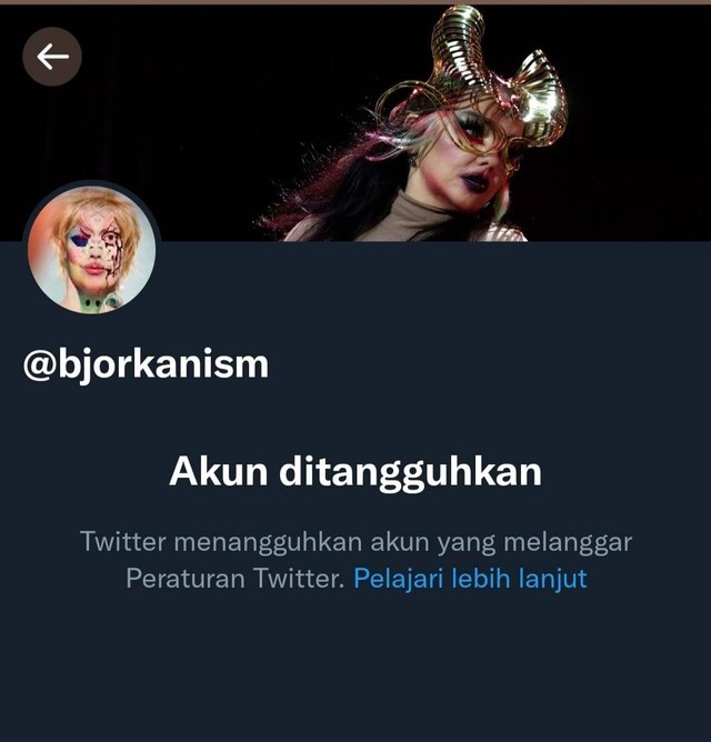 Akun Twitter Bjorka disuspend. Foto: Twitter