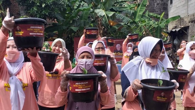 Relawan Mak Ganjar membagikan 300 bibit cabai dengan pot dan media tanam untuk warga di Cilandak, Jakarta Selatan pada Senin (12/9/2022). Foto: Dok. Istimewa