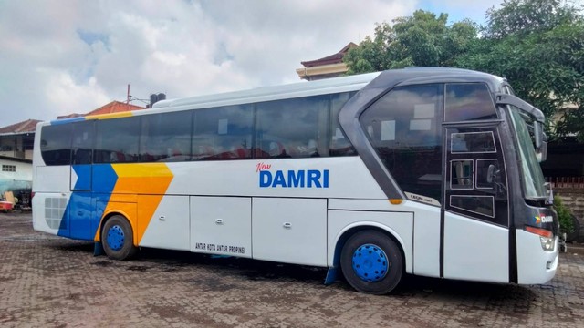 Ilustrasi bus Damri. Foto: Damri