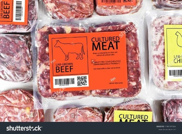 (Gambar produk daging lab, sumber : https://www.shutterstock.com/id/image-photo/cultured-beef-meat-concept-artificial-vitro-1748585984)