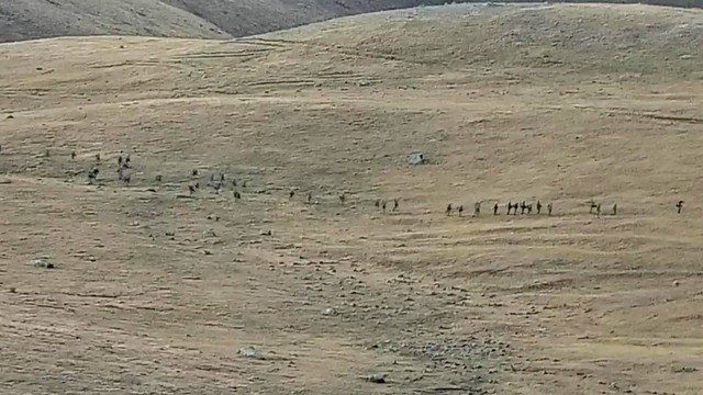 Pasukan Azerbaijan melintasi perbatasan Armenia-Azerbaijan dan mendekati posisi Armenia, pada Selasa (13/9/2022). Foto: Kementerian Pertahanan Armenia via AP