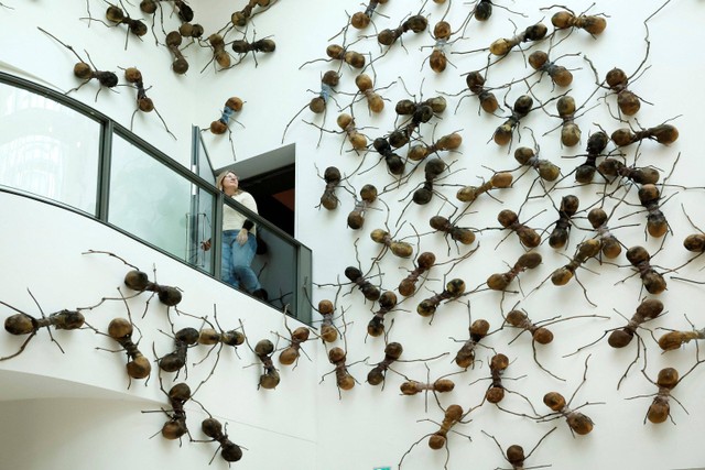 Pengunjung melihat semut raksasa karya dari seniman Rafael Gomezbarros saat dipamerkan di Rijksmuseum di Amsterdam, Belanda. Foto: Piroschka van de Wouw/REUTERS