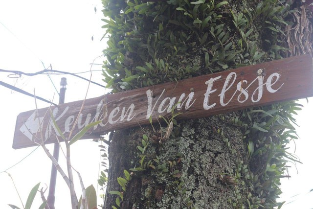 Foto: Humas Pemkot Bandung