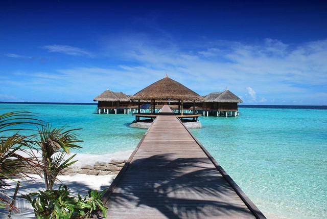 Resort di Maldives. Sumber : https://pixabay.com/id/photos/pantai-resor-dermaga-jalan-kayu-666122/