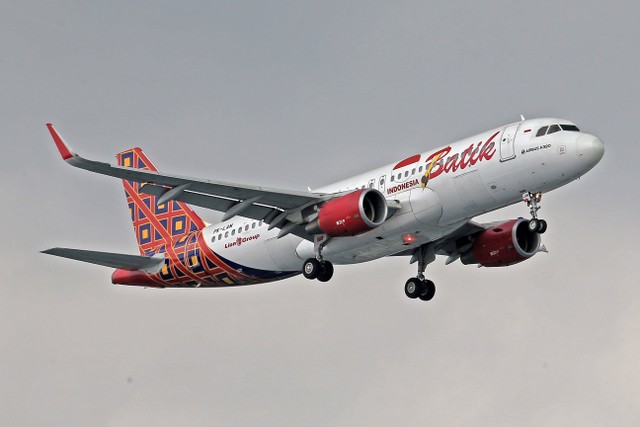 Cara Check In Online Lewat Aplikasi Batik Air, Foto: Pexels/Jeffry Surianto