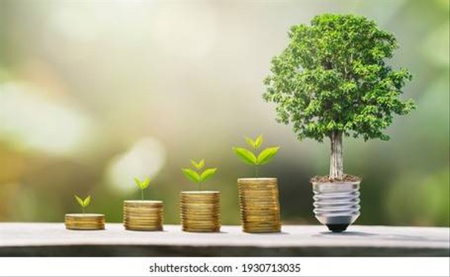 https://image.shutterstock.com/image-photo/idea-money-growing-step-tree-260nw-1930713035.jpg