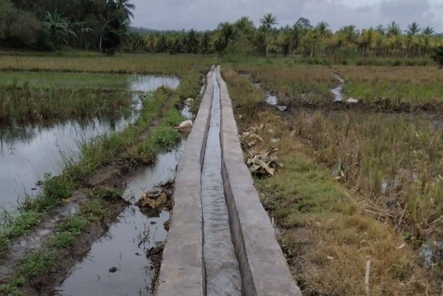 Lewat Rehabilitasi Irigasi Tersier, Kementan Dukung Ketersediaan Air ...