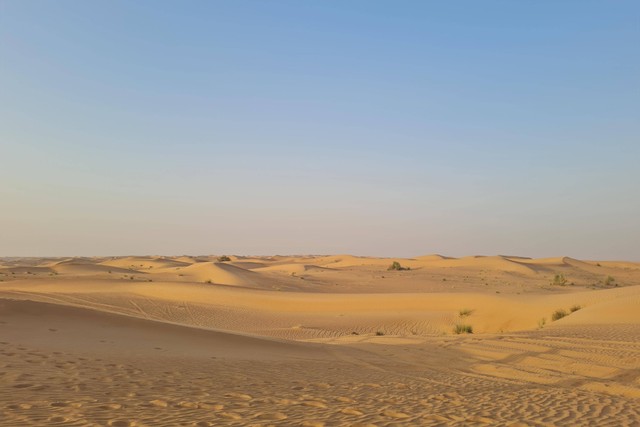 Seru-seruan di Dubai Desert Safari. Foto: Andari Novianti/kumparan