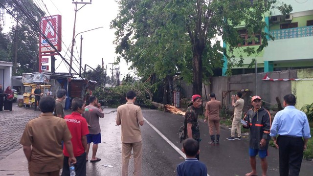 Warga mengevakuasi pohon-pohon tumbang di Ciputat, Tangsel akibat hujan angin, Selasa (20/9). Dok Istimewa