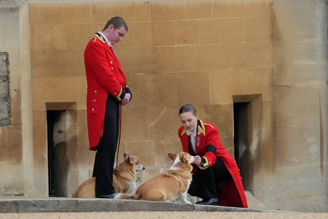 Anggota staf, dengan anjing corgi, menunggu kedatangan jenazah Ratu Elizabeth II di Kastil Windsor, Windsor, Inggris, Senin, (19/9/2022).  Foto: Gregorio Borgia/Pool via REUTERS