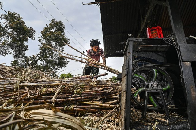 Seorang pekerja mengolah tebu untuk menghasilkan gula di sebuah industri rumah tangga di Ketol, Aceh, Senin (19/9/2022). Foto: Chaideer Mahyudin/AFP