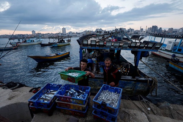 Nelayan Palestina menurunkan hasil tangkapan di Pelabuhan Gaza, Selasa (20/9/2022). Foto: Mohammed Salem/Reuters