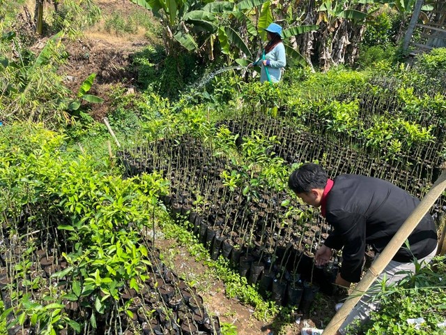 mahasiswa UMM melakukan pengecekan tanaman di polybag. sumber gambar : dokumen pribadi