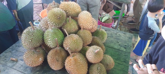 Durian yang dihadirkan di Festival Durian. Foto: Stecy Holie