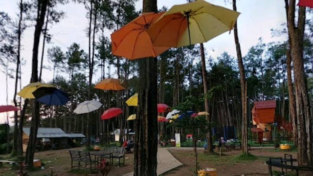 Kemit Forest rekomendasi tempat wisata di Cilacap, foto: Google Stree View