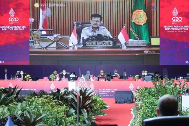 Menteri Pertanian Syahrul Yasin Limpo Foto: Dok. Kementan