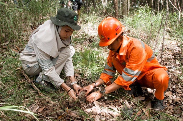 PT Indonesia Morowali Industrial Park (IMIP) bersama dengan ratusan volunteer Minggu (25/9), menanam 400 tanaman kopi di Morowali, sebagai salah satu cara menjaga kebutuhan sumber pakan si monyet Tonkean. Foto: Istimewa