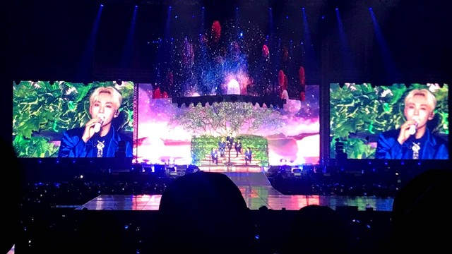 Konser SEVENTEEN World Tour : Be The Sun di ICE BSD, Tangerang Selatan, Minggu (25/9/022). Foto: Mutiara Oktaviana/kumparan