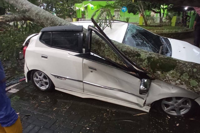 Kondisi mobil yang tertimpa pohon di RSUP Adam Malik, Medan, Senin (26/9). Foto: Dok. Istimewa