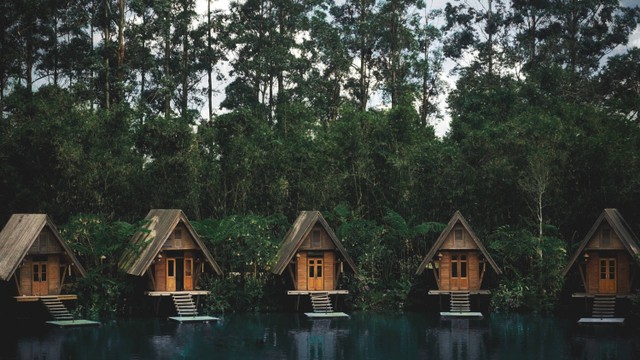 Dusun Bambu, foto oleh Alea Film di Unsplash
