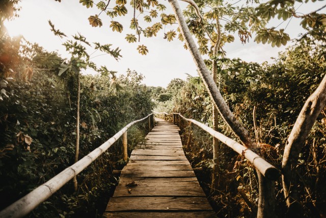 Ilustrasi Tempat Wisata di Tenggarong, Foto: Unsplash/Jonathan Borba