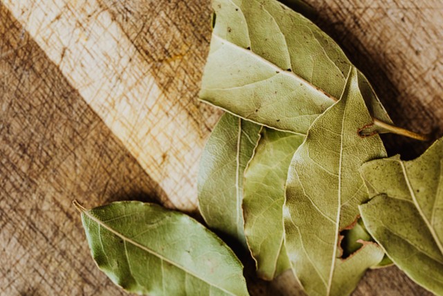 Daun salam adalah bagian dari tanaman salam yang dimanfaatkan sebagai bumbu masakan dan obat herbal. Foto: Pexels.com