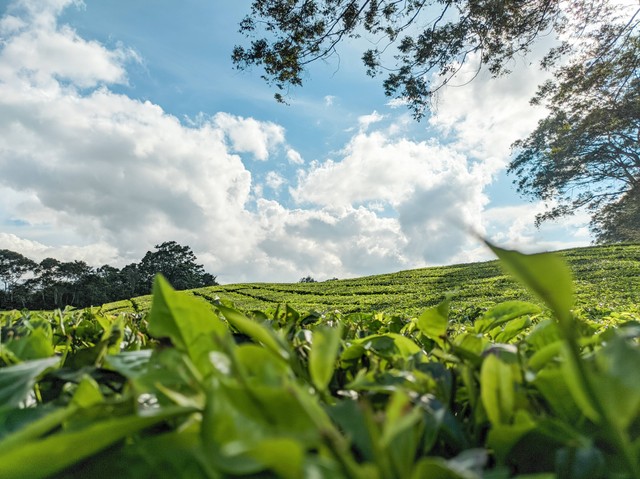 Tempat Wisata di Simalungun, https://unsplash.com/@ahmadprayogi