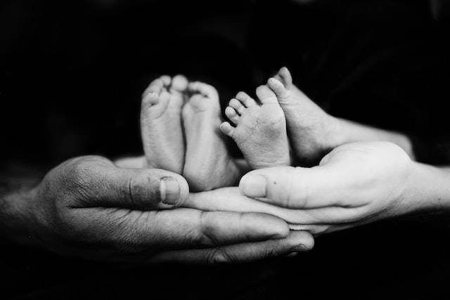 Bayi kembar yang dilahirkan dari pembelahan satu zigot menjadi dua. Sumber: unsplash.com