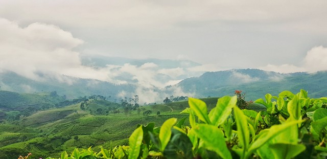 Rute ke Riung Gunung Pangalengan, Foto Hanya Ilustrasi: Unsplash/Hanandito Adi