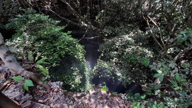 Luweng Grubug di Gunungkidul yang konon jadi tempat eksekusi pengikut PKI. Foto: Erfanto/Tugu Jogja