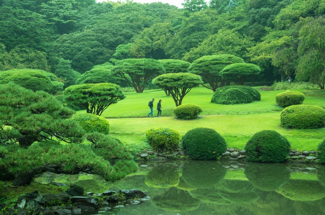 Ilustrasi Rute ke Taman Herbal Insani Depok, Foto: Unsplash/Kosuke Noma