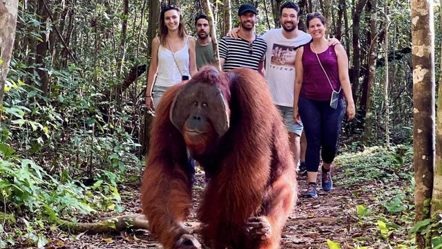 Sejumlah turis asing asal Spanyol berkunjung ke Taman Nasional Tanjung Puting. Foto: IG (Manduaper)/InfoPBUN. 