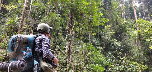 Seorang mahasiswa jurusan kehutanan melihat keasrian Hutan Adat Talun Sakti. (Foto: M Sobar Alfahri/Jambikita)