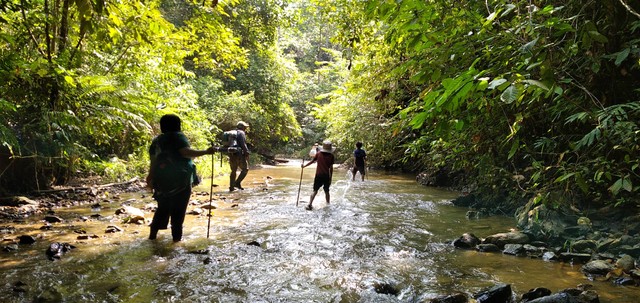 Ketua Kesatuan Hutan Adat Talun Sakti Muhammad Sapar bersama orang-orang yang dipandunya, menelusuri aliran sungai yang berada di Hutan Adat Talun Sakti. (Foto: M Sobar Alfahri)