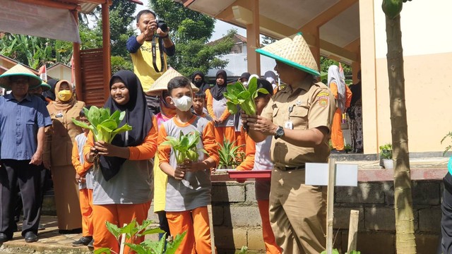 Panen Sayuran Projek Kepang Lima SMP Negeri 4 Wonosobo Senin, 3 Oktober 2022