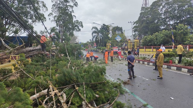 Petugas BPBD, Damkar dan Tagana saat melakukan evakuasi pohon tumbang di pertigaan Disdukcapil Kobar. Foto: Lukman Hakim/InfoPBUN