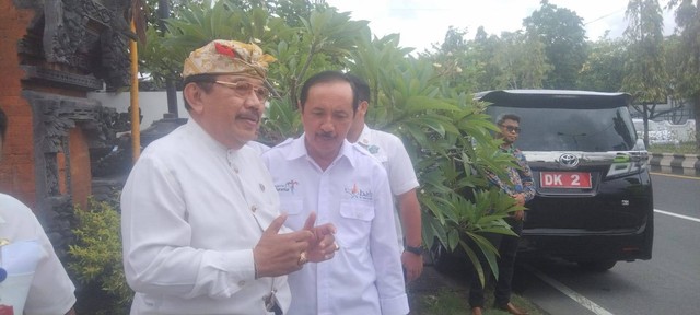 Wakil Gubernur Bali Cok Ace - IST