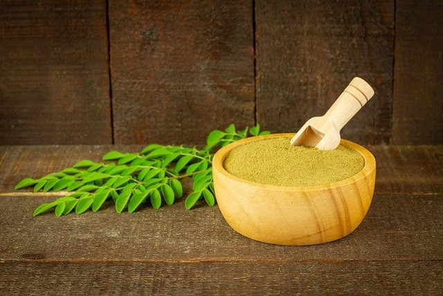 Ilustrasi daun kelor. Foto: Pixabay