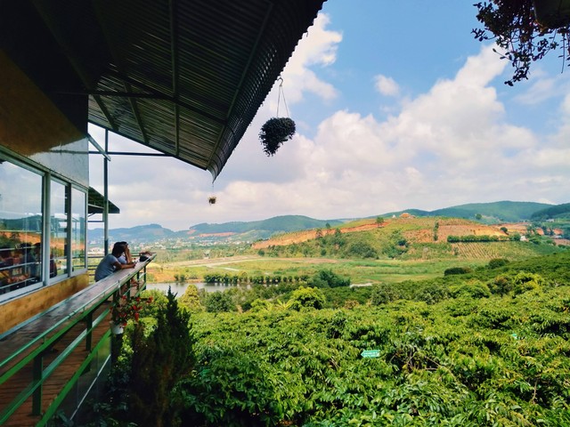 Tempat Ngopi di Sentul View Bagus, Foto Hanya Ilustrasi: Unsplash/Tran Huy