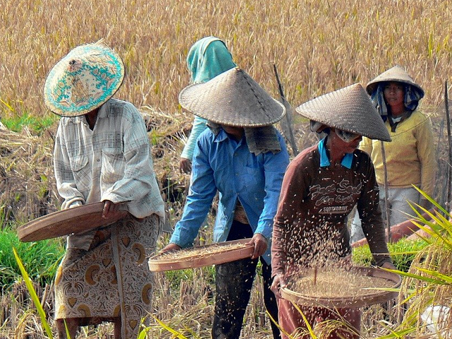 Ilustrasi bupati atau walikota bersama-sama dengan DPRD kabupaten atau kota menetapkan. Sumber: www.pixabay.com